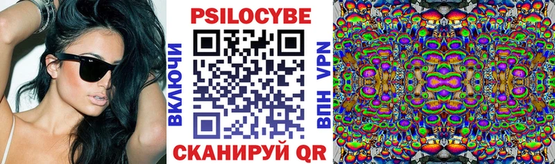 купить наркотик  Никольск  Псилоцибиновые грибы GOLDEN TEACHER 